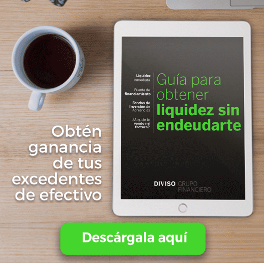 ebook diviso