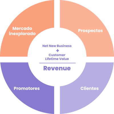 Infografía Intelligent Revenue-02